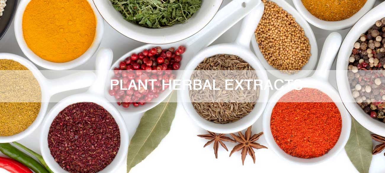 PLANT-HERBAL-EXTRACTS