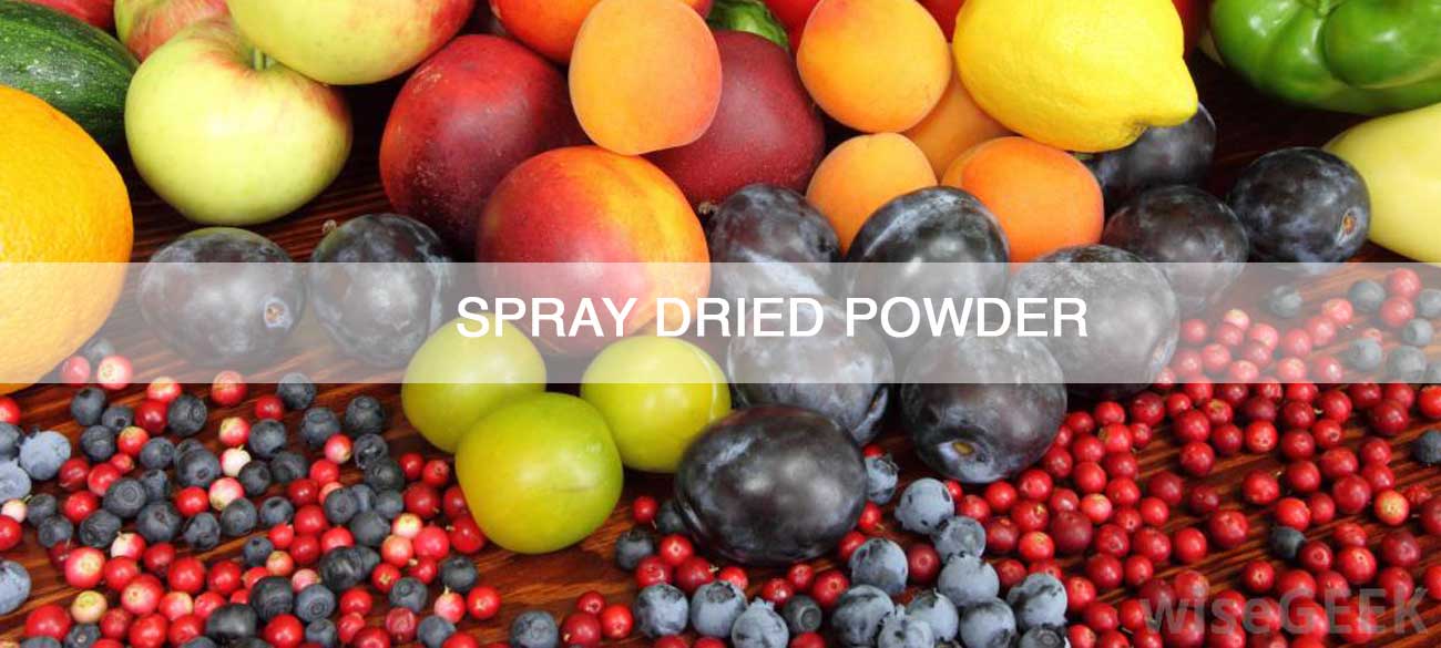 SPRAY-DRIED-POWDER